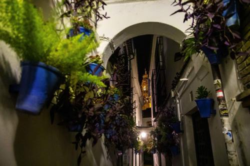 cordoba_nanesmoreno-2